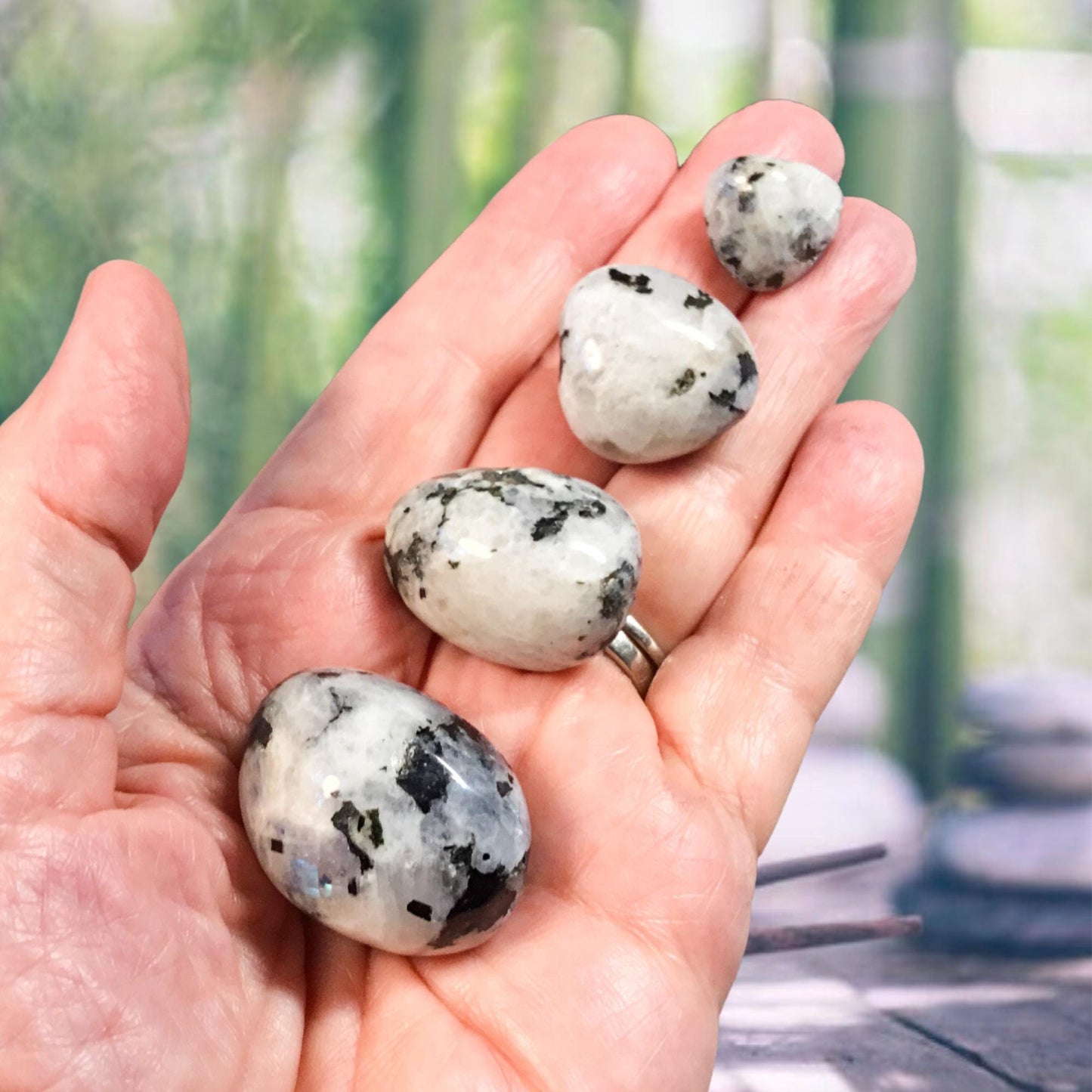 RAINBOW MOONSTONE Tumbled Stone - Choice of Sizes and Quantity- Polished High Energy Healing Stones with Information Card - Reiki Enhanced