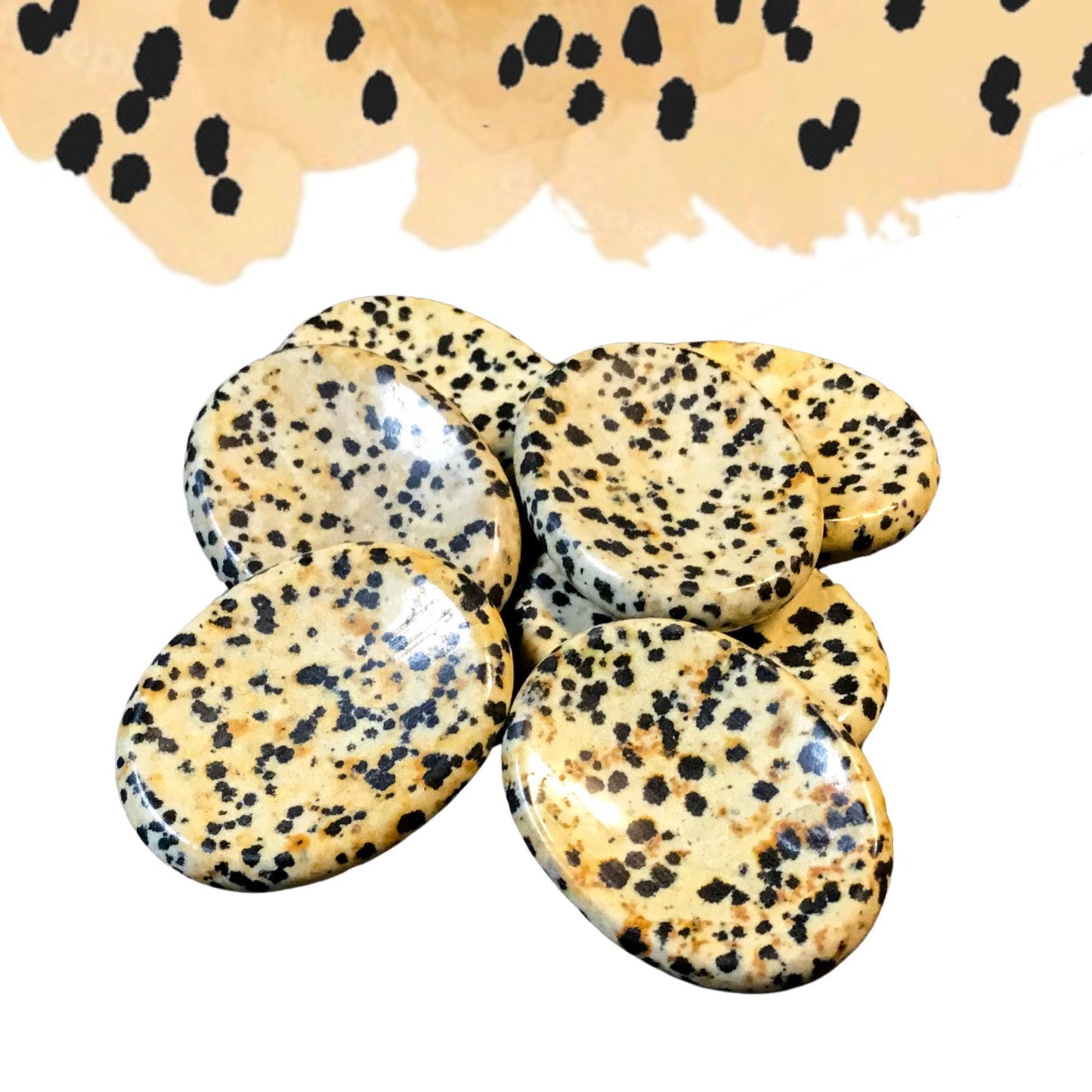 DALMATIAN JASPER Worry Stone, Calming and Anxiety Relief Stone, Thumb Stone, Fidget and Meditation Crystal – Reiki Enhanced