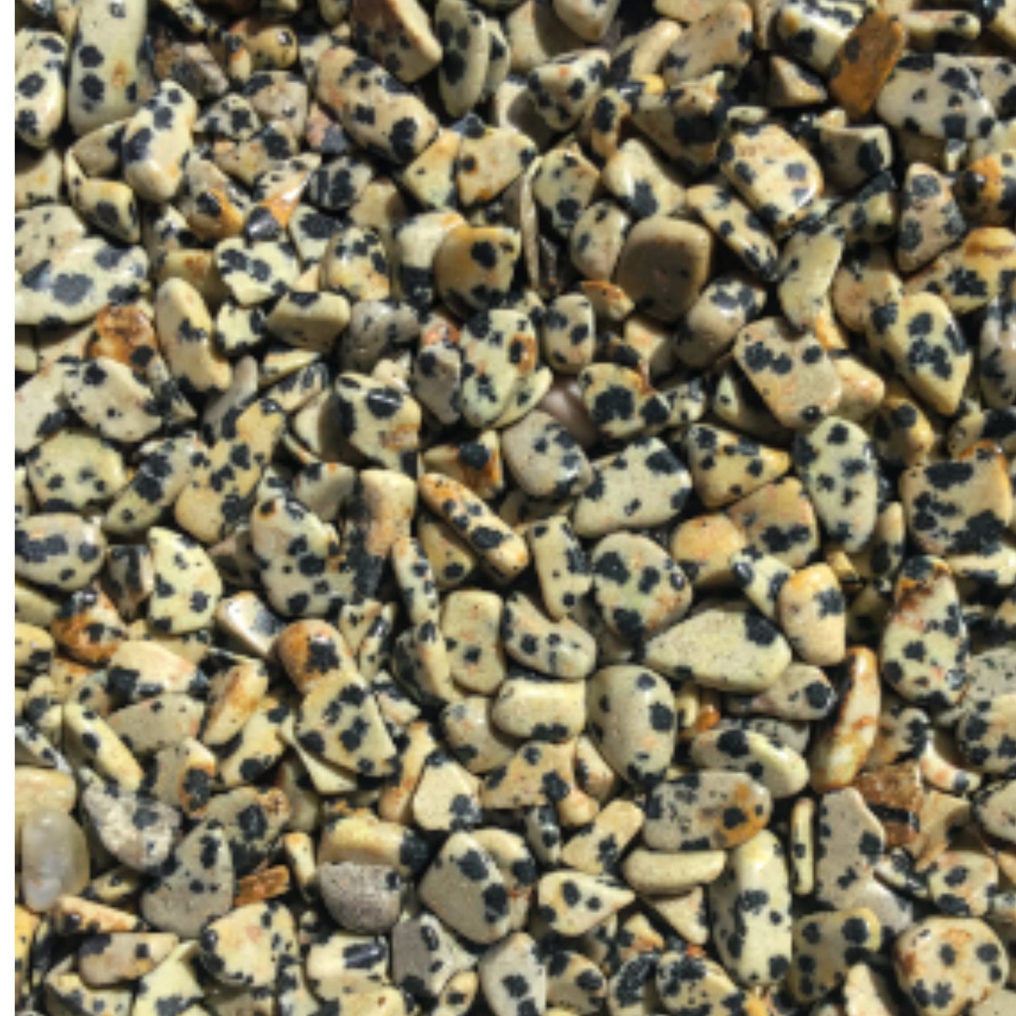 DALMATION JASPER Chips 2 sizes - 3-7mm, 5-9mm - 1, 2, 4, 8 oz - Crystal Chips - Roller Bottle Chips - Healing Crystals - Arts & Crafts