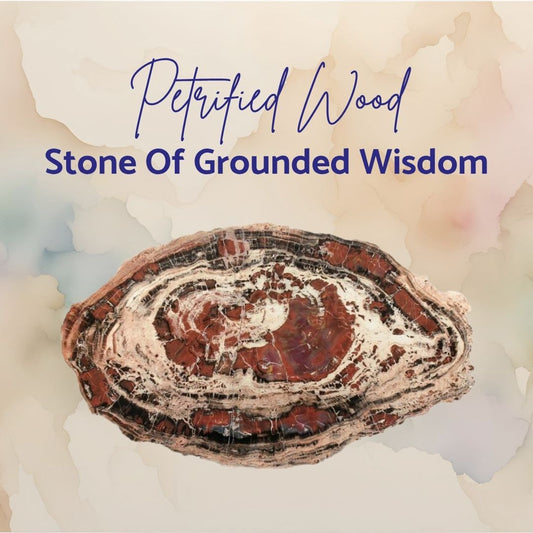 Petrified Wood: Stone of Grounded Wisdom
