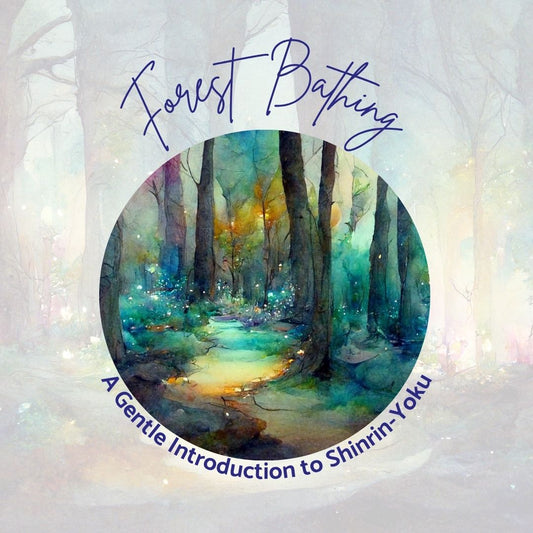 What Is Forest Bathing? A Gentle Introduction to Shinrin-Yoku