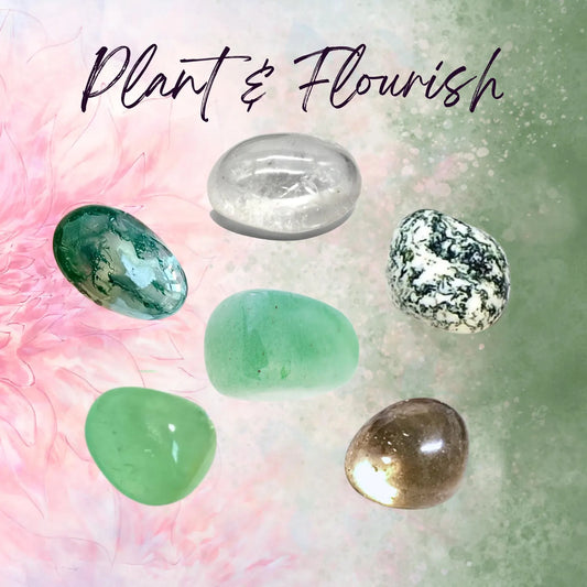 Manifest PLANT HEALTH Intention Crystal Set - 2 Sizes - with Information and Mantra Card, Display Frame, and Storage Bag - Reiki Enhanced