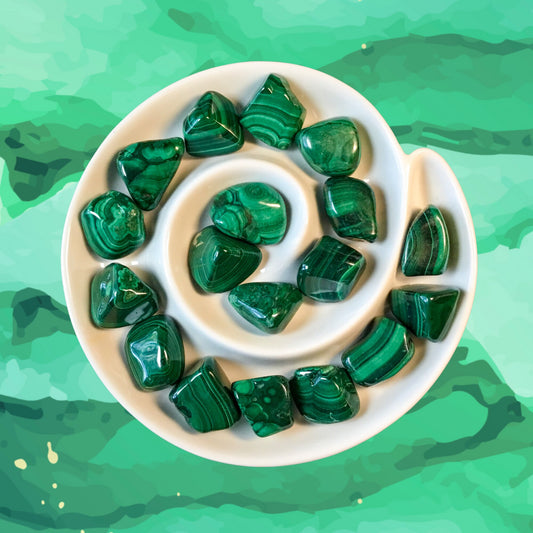 MALACHITE Tumbled Stone - Choice of Sizes and Quantity - Polished High Energy Healing Stones with Information Card - Reiki Enhanced