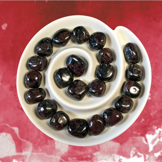 GARNET Tumbled Stones - Choice of Sizes and Quantity - Polished High Energy Healing Stones with Information Card - Reiki Enhanced