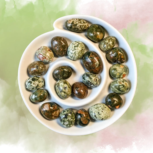 RAINFOREST JASPER Tumbled Stone - Choice of Sizes and Quantity - Polished High Energy Healing Stones with Information Card - Reiki Enhanced