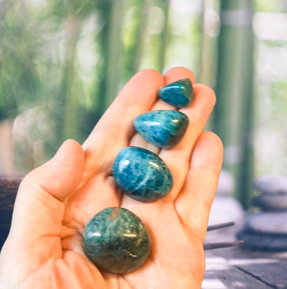 BLUE APATITE Tumbled Stones - Choice of Sizes and Quantity  - Polished High Energy Healing Stones with Information Card - Reiki Enhanced