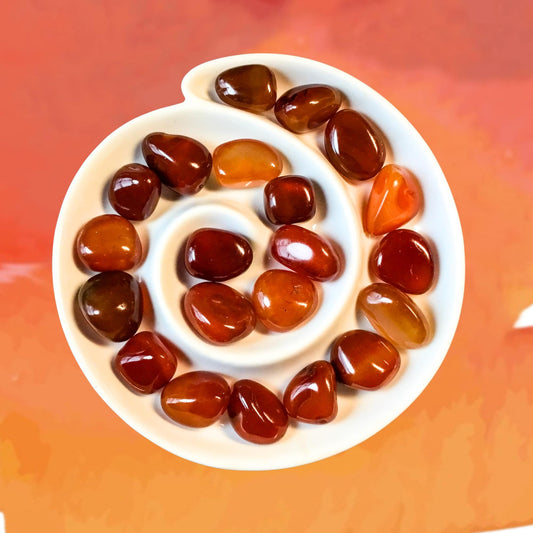CARNELIAN Tumbled Stone - Choice of Sizes and Quantity - Polished High Energy Healing Stones with Information Card - Reiki Enhanced