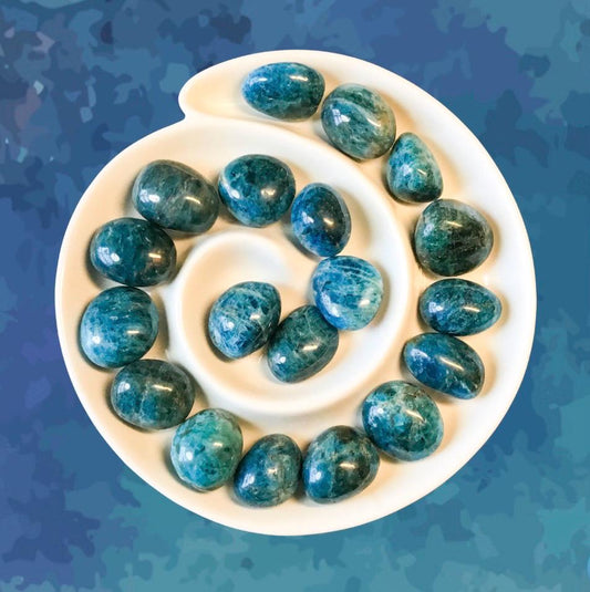 BLUE APATITE Tumbled Stones - Choice of Sizes and Quantity  - Polished High Energy Healing Stones with Information Card - Reiki Enhanced