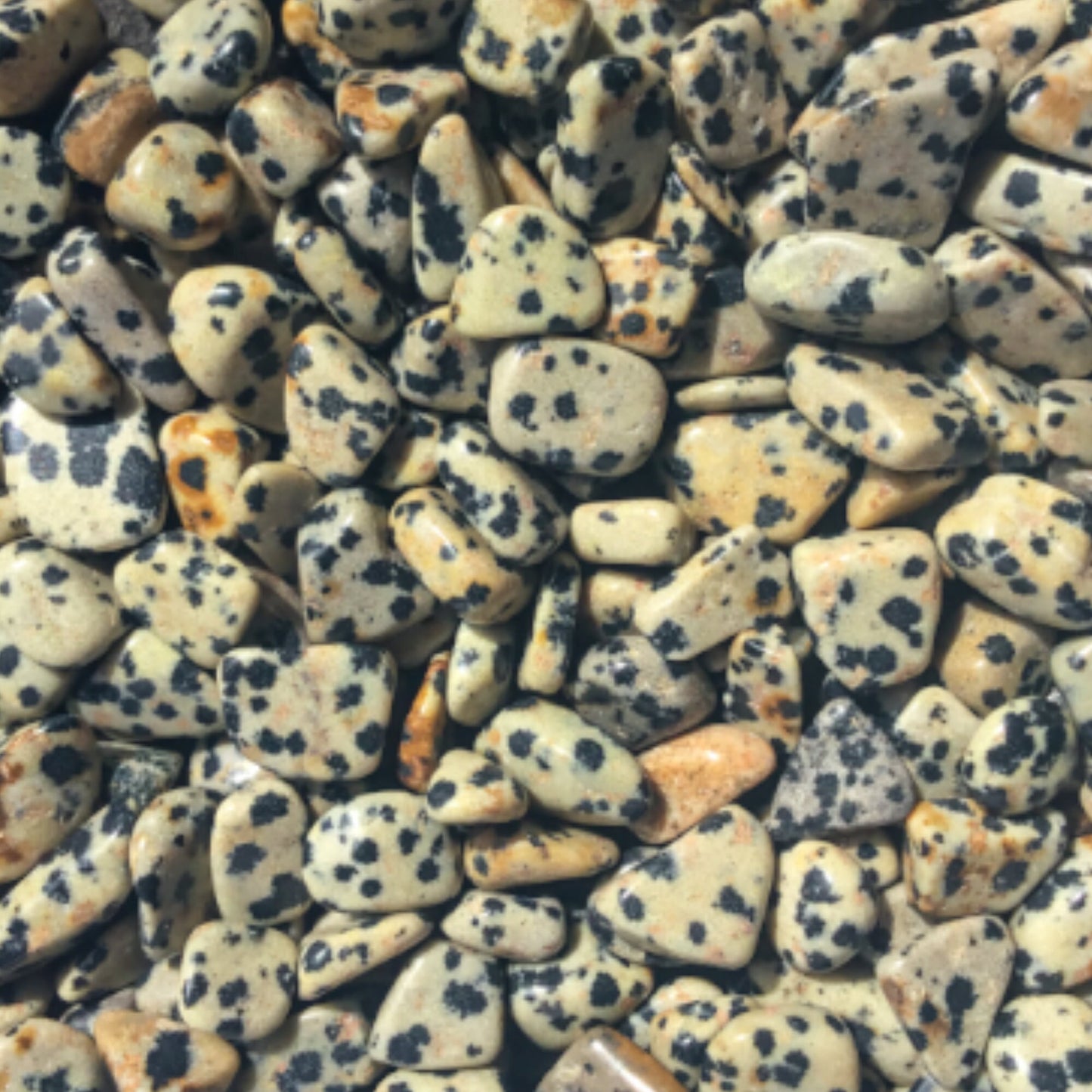 DALMATION JASPER Chips 2 sizes - 3-7mm, 5-9mm - 1, 2, 4, 8 oz - Crystal Chips - Roller Bottle Chips - Healing Crystals - Arts & Crafts