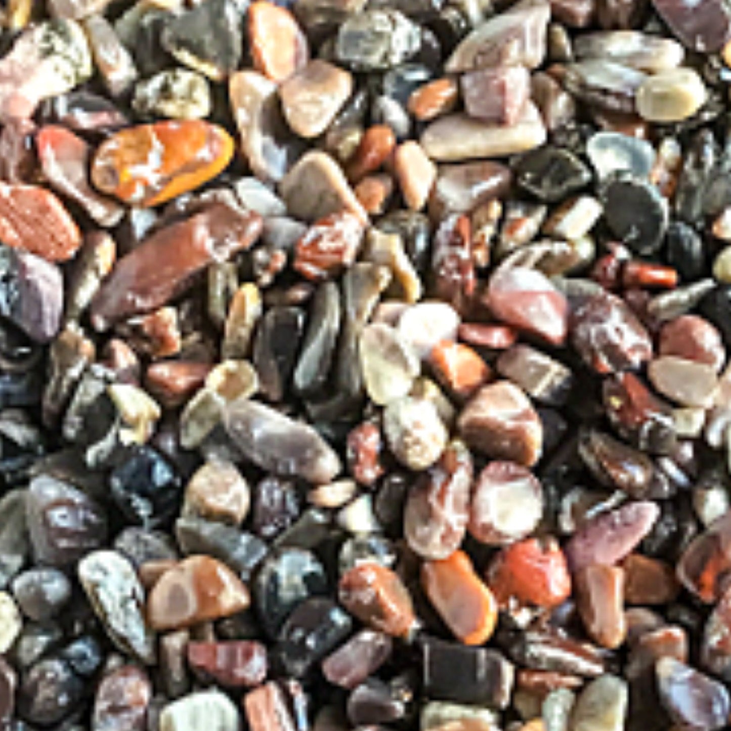 PETRIFIED WOOD Chips - 3-7mm - 1, 2, 4, 8 oz - Gemstone Chips - Crystal Chips - Roller Bottle Chips - Healing Crystals - Arts & Crafts